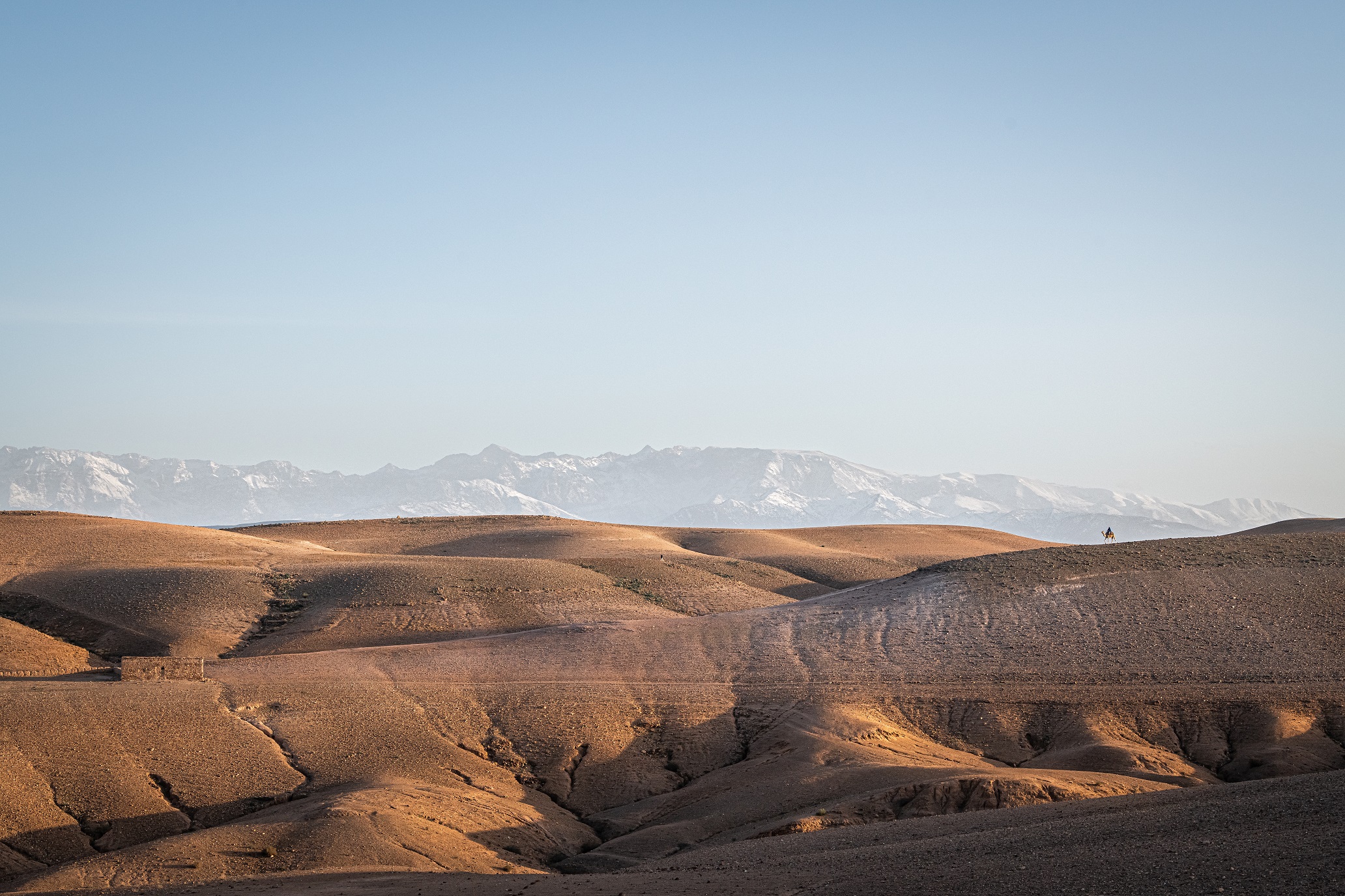 New Year’s eve in the Agafay desert